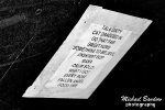 dsc_7020-copy