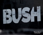 bush-1106-1-copy_975x780