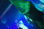 img_3728_1024x683 img_3728_1024x683