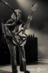 Chickenfoot-3_520x780