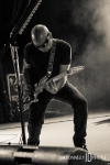 Chickenfoot-4_520x780