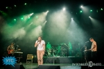 IMG_8698_1040x694