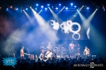 IMG_9003_1040x694