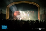 IMG_9019_1040x694