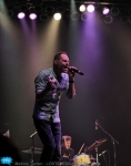 ginblossoms13 ginblossoms13