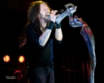 korn-9657-1-copy_975x780 korn-9657-1-copy_975x780