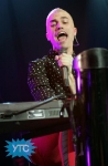 neontrees7_513x780