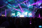 nocturnal50