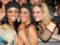 DSC_6442_1071x602