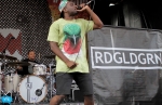 redgldgrn2 redgldgrn2