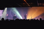 tnaf17 tnaf17