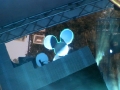 deadmau5