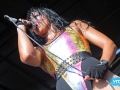 IMG_6483 IMG_6483